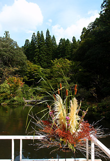 �`�H���ށ`