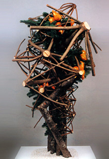 ����ƌ��@������i