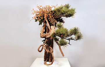 ����ƌ��@������i