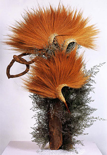 ����ƌ��@������i