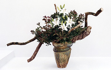 ���ډƌ��@������i