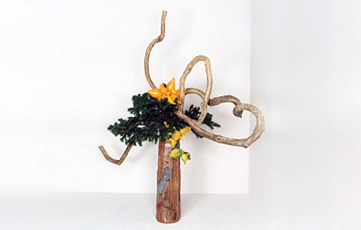 ���ډƌ��@������i