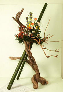 ���ډƌ��@������i