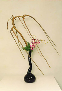 �O��ډƌ��@������i