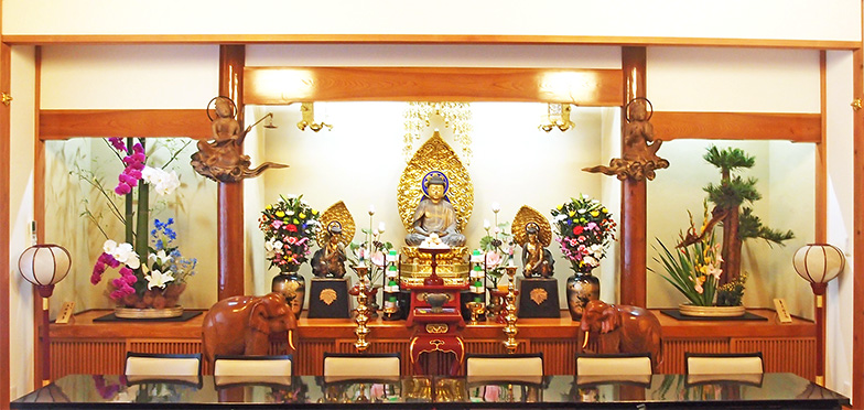 �P�����l����