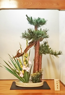 �P�����l����