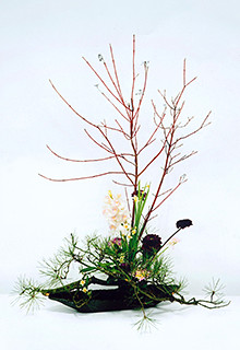 �V������