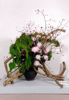 �c�������E�ɓ��R��