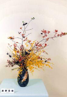 �n������