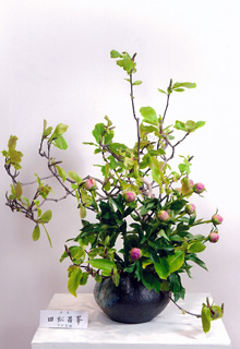 �c������