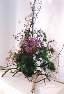 �c������