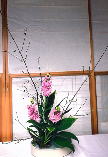 �|��v���q